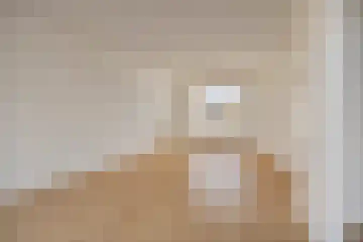Van Hogendorplaan 34 Goes thumbnail 13