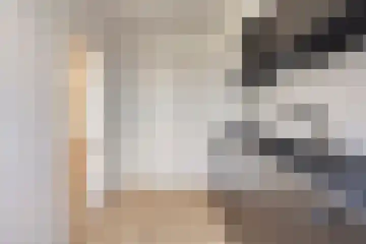 Van Hogendorplaan 34 Goes thumbnail 17