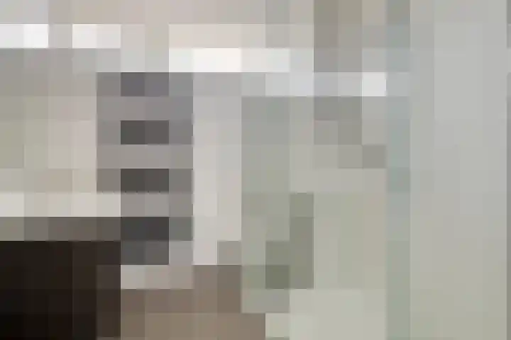 Van Hogendorplaan 34 Goes thumbnail 22