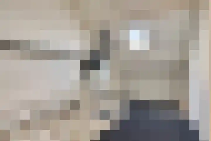 Van Hogendorplaan 34 Goes thumbnail 27
