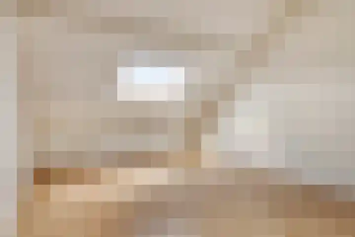 Van Hogendorplaan 34 Goes thumbnail 28