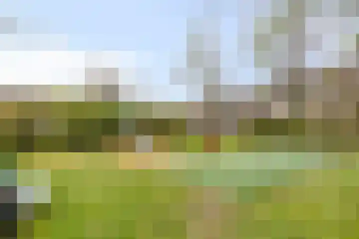 Van Hogendorplaan 34 Goes thumbnail 33