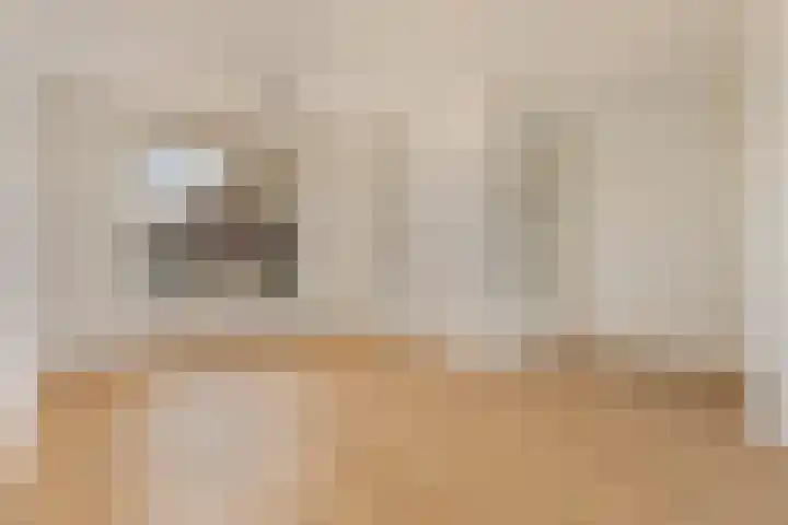 Van Hogendorplaan 34 Goes thumbnail 8