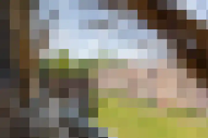 van Hogendorplaan 34 I Doetinchem thumbnail 16