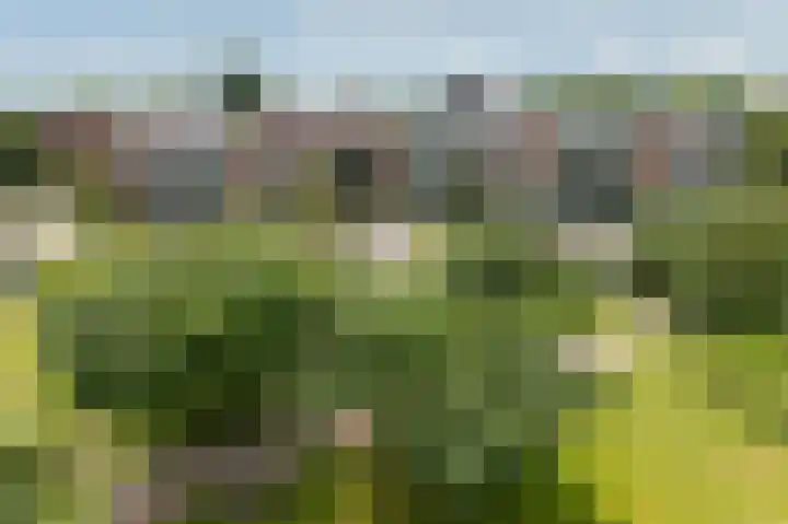 van Hogendorplaan 34 I Doetinchem thumbnail 28