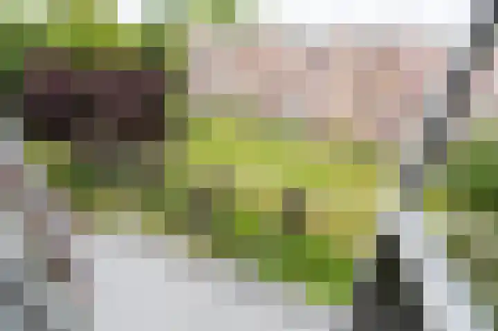 van Hogendorplaan 34 I Doetinchem thumbnail 31
