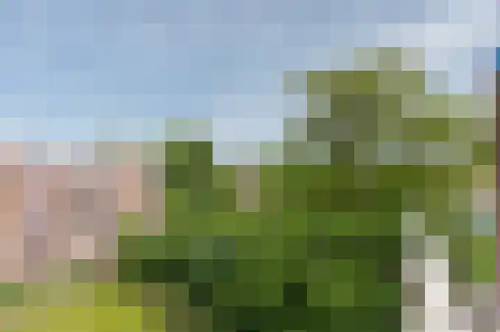 van Hogendorplaan 34 I Doetinchem thumbnail 33