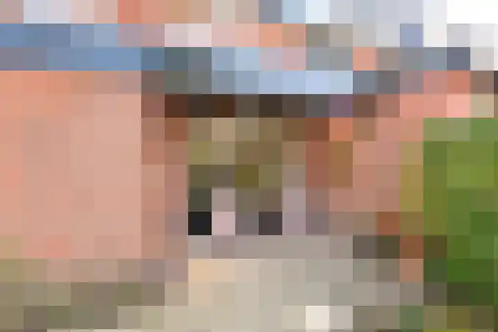 Van Hogendorplaan 36 Huizen thumbnail 17