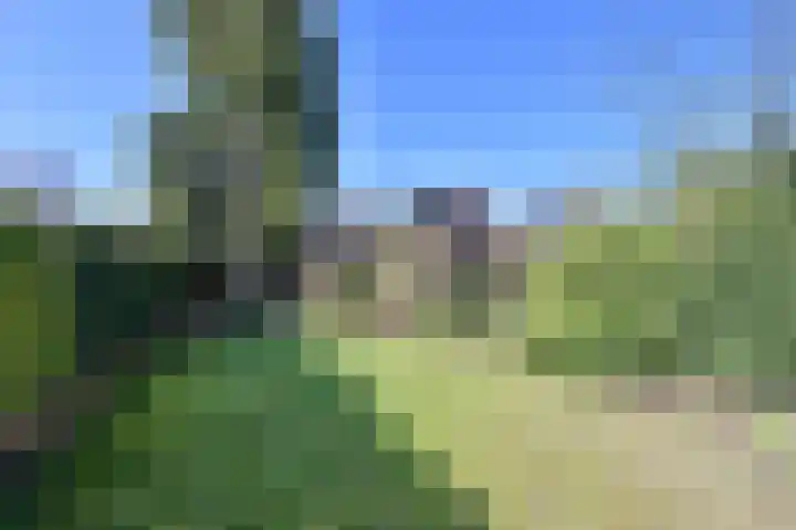 Van Hogendorplaan 36 Huizen thumbnail 18
