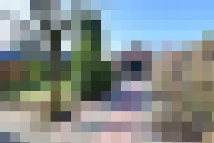 Van Hogendorplaan 36 Huizen thumbnail 19