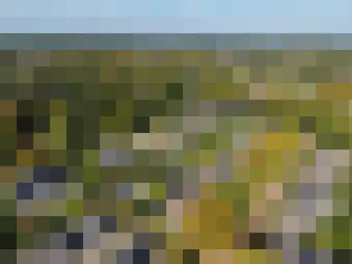 Van Hogendorplaan 36 Huizen thumbnail 22