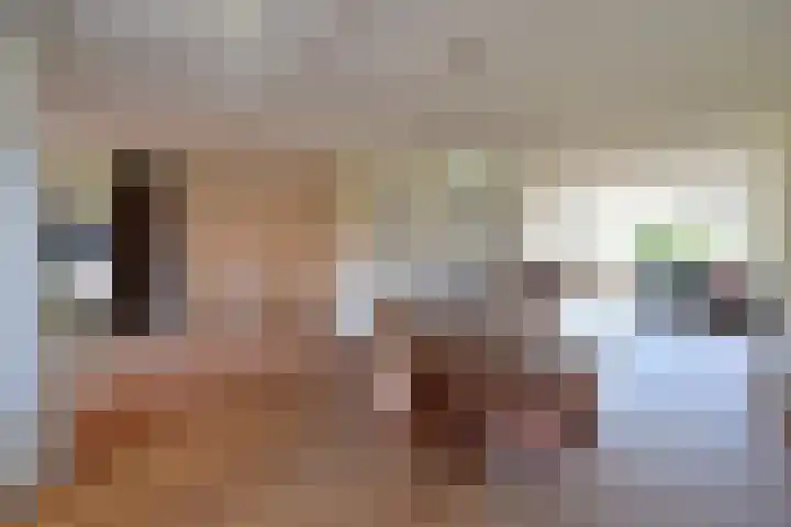 Van Hogendorplaan 36 Huizen thumbnail 6