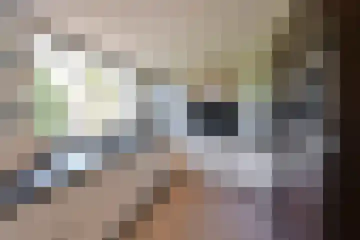 Van Hogendorplaan 36 Huizen thumbnail 9