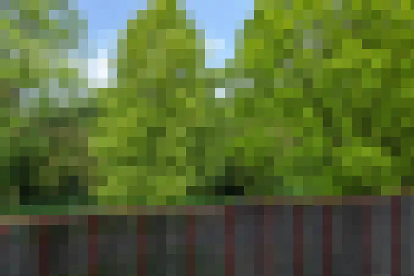 van Hogendorplaan 38 B Doetinchem thumbnail 43