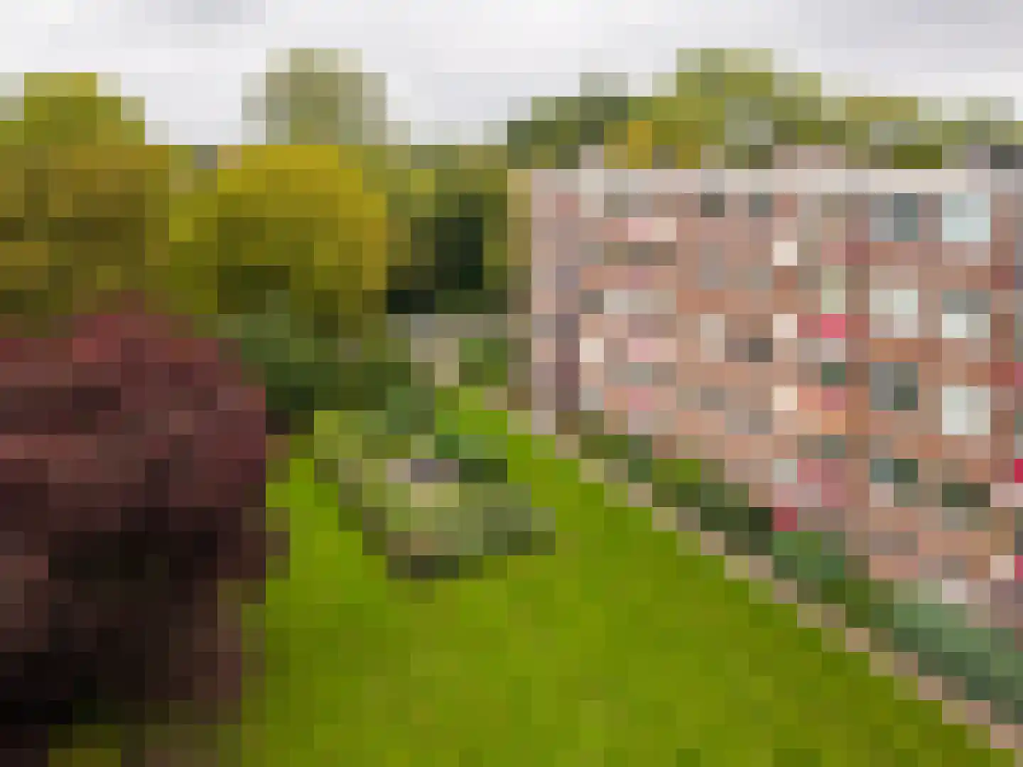 van Hogendorplaan 38 F Doetinchem thumbnail 32