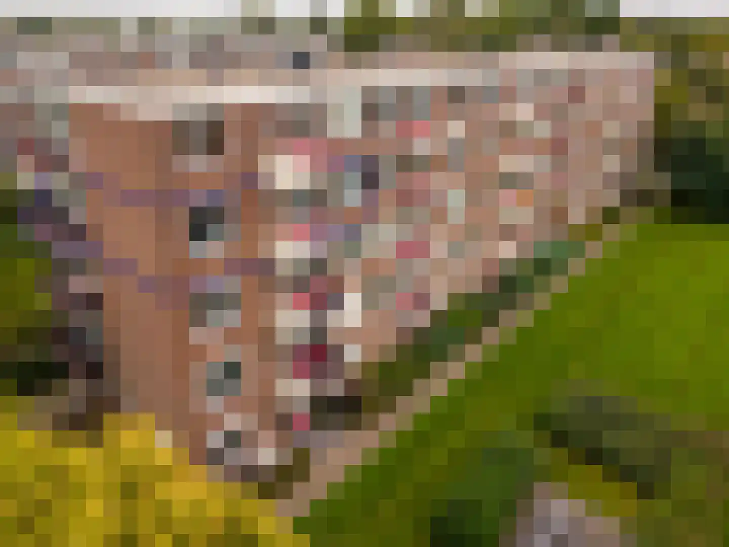 van Hogendorplaan 38 F Doetinchem thumbnail 7