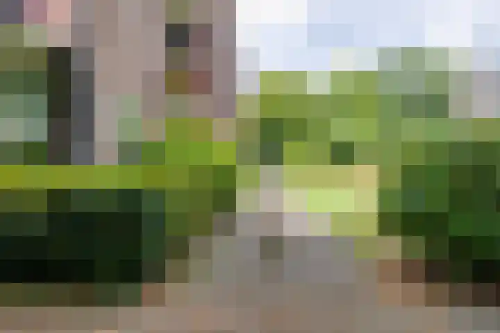 van Hogendorplaan 40 F Doetinchem thumbnail 41