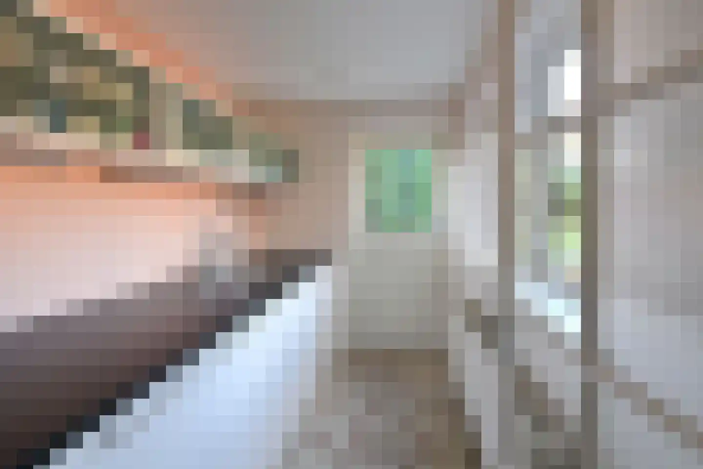 Van Hogendorplaan 42 Huizen thumbnail 11
