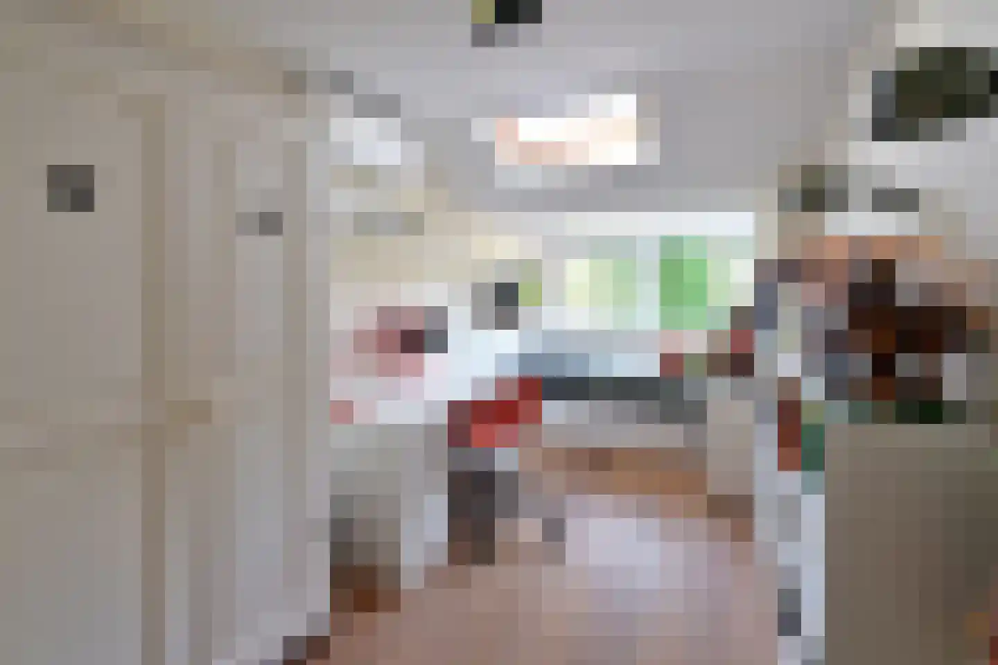 Van Hogendorplaan 42 Huizen thumbnail 14