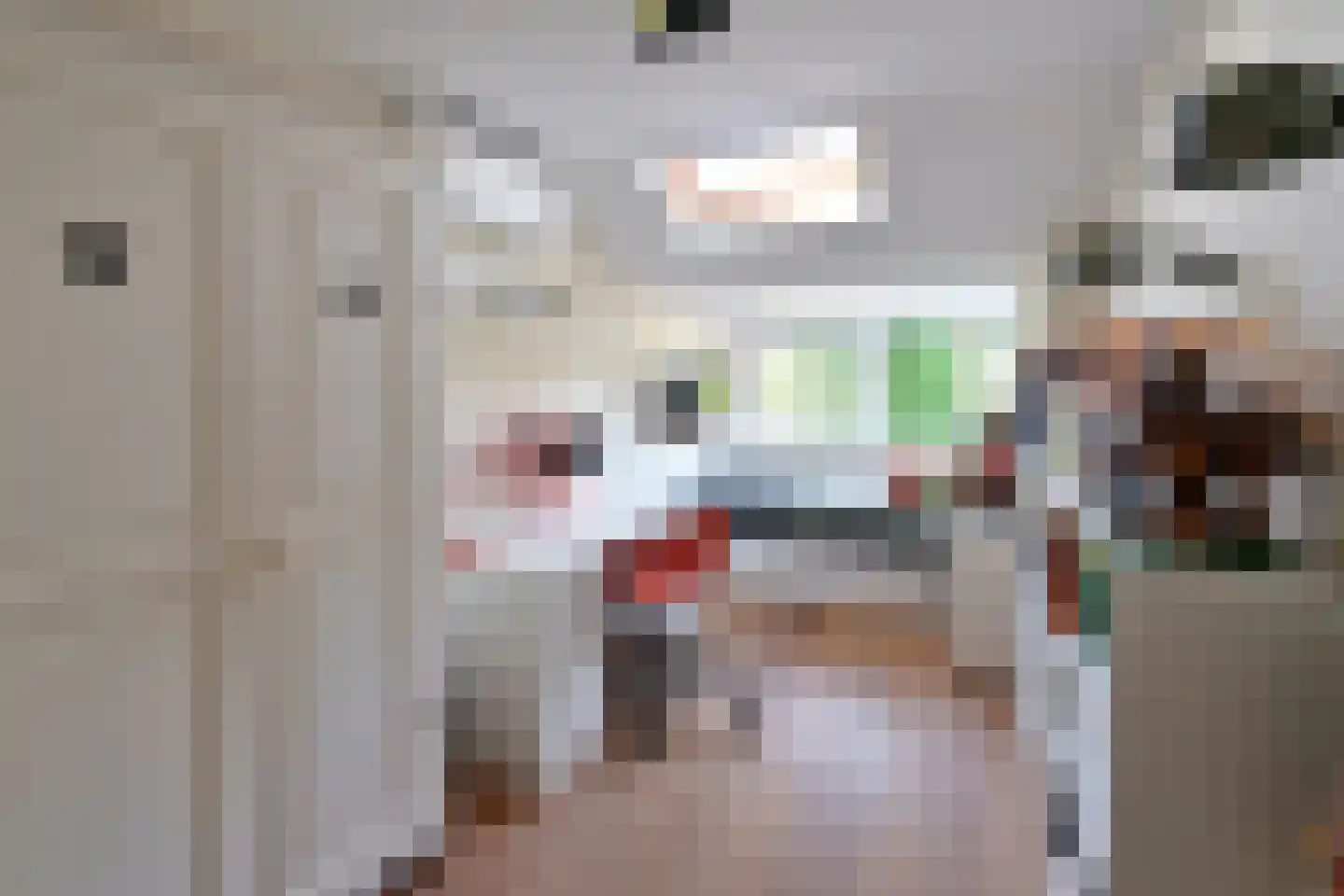 Van Hogendorplaan 42 Huizen thumbnail 14