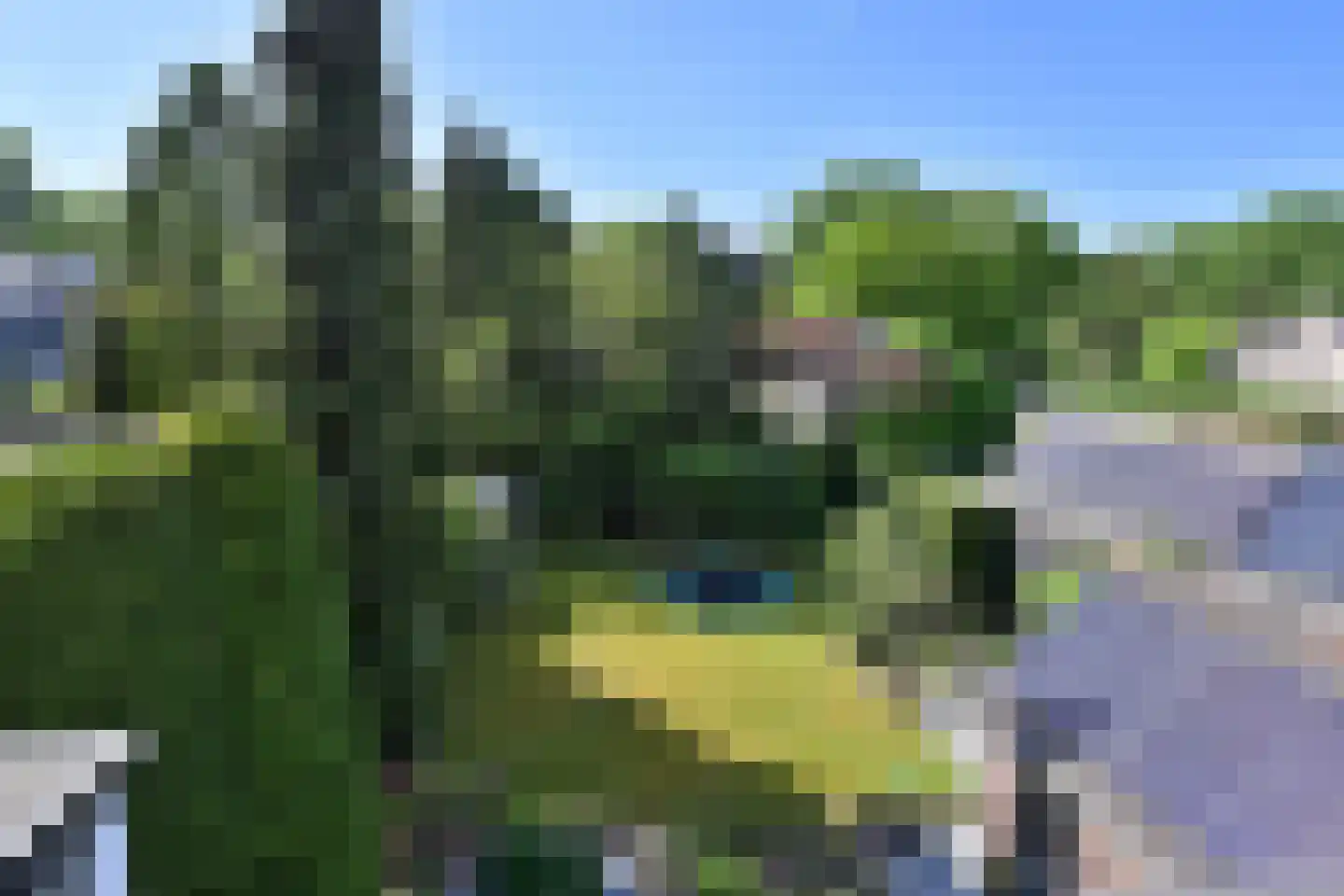 Van Hogendorplaan 42 Huizen thumbnail 21