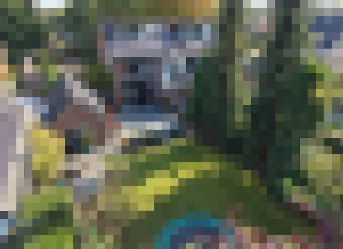Van Hogendorplaan 42 Huizen thumbnail 22
