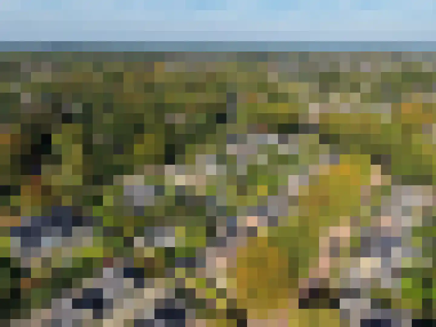 Van Hogendorplaan 42 Huizen thumbnail 31