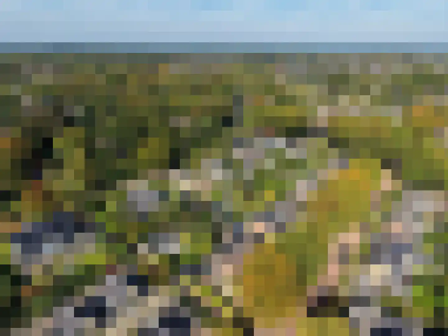 Van Hogendorplaan 42 Huizen thumbnail 31
