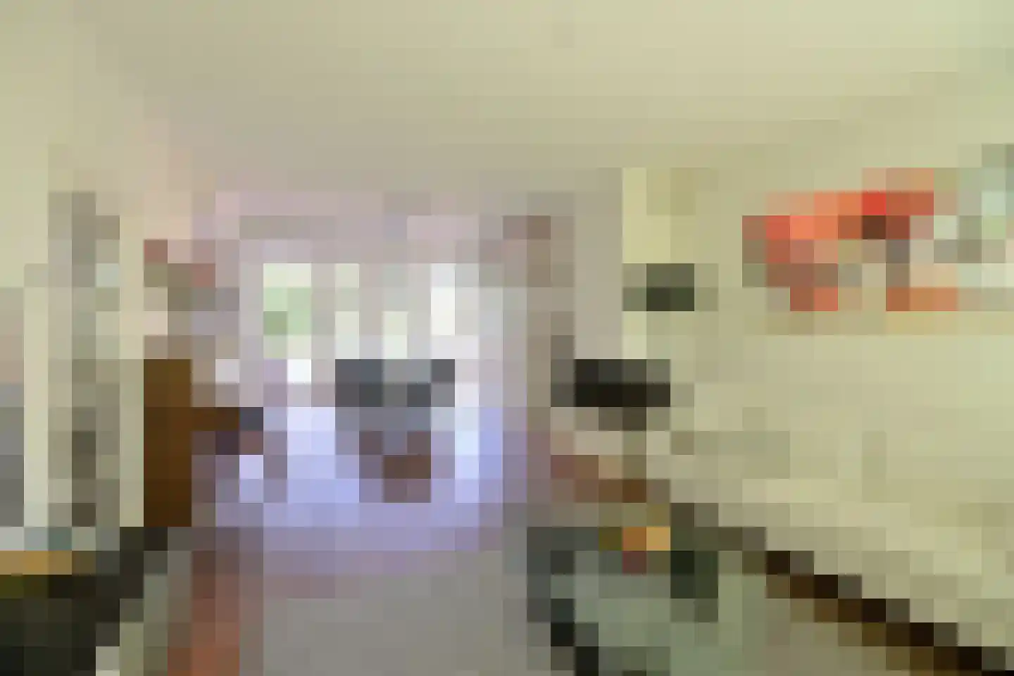 Van Hogendorplaan 42 Huizen thumbnail 5