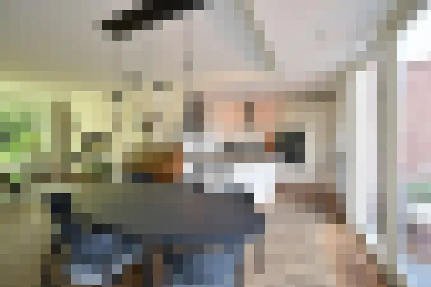 Van Hogendorplaan 42 Huizen thumbnail 8