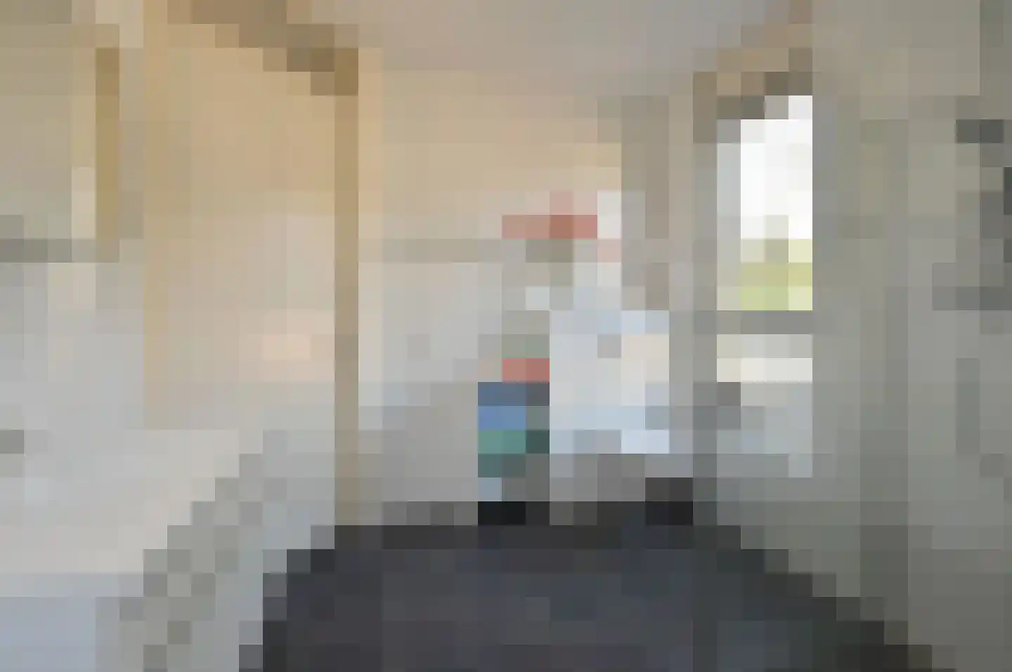 Van Hogendorplaan 46 d Huizen thumbnail 20