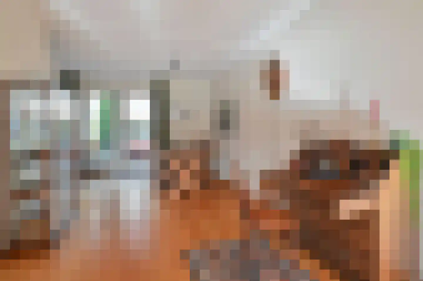 Van Hogendorplaan 46 d Huizen thumbnail 6
