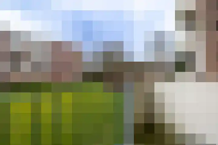 van Hogendorplaan 48 F Doetinchem thumbnail 18