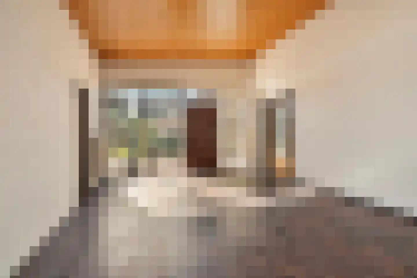 van Hogendorplaan 5 Maasdam thumbnail 11