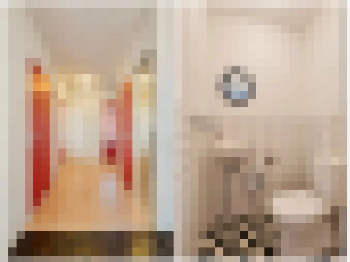van Hogendorplaan 5 Maasdam thumbnail 13