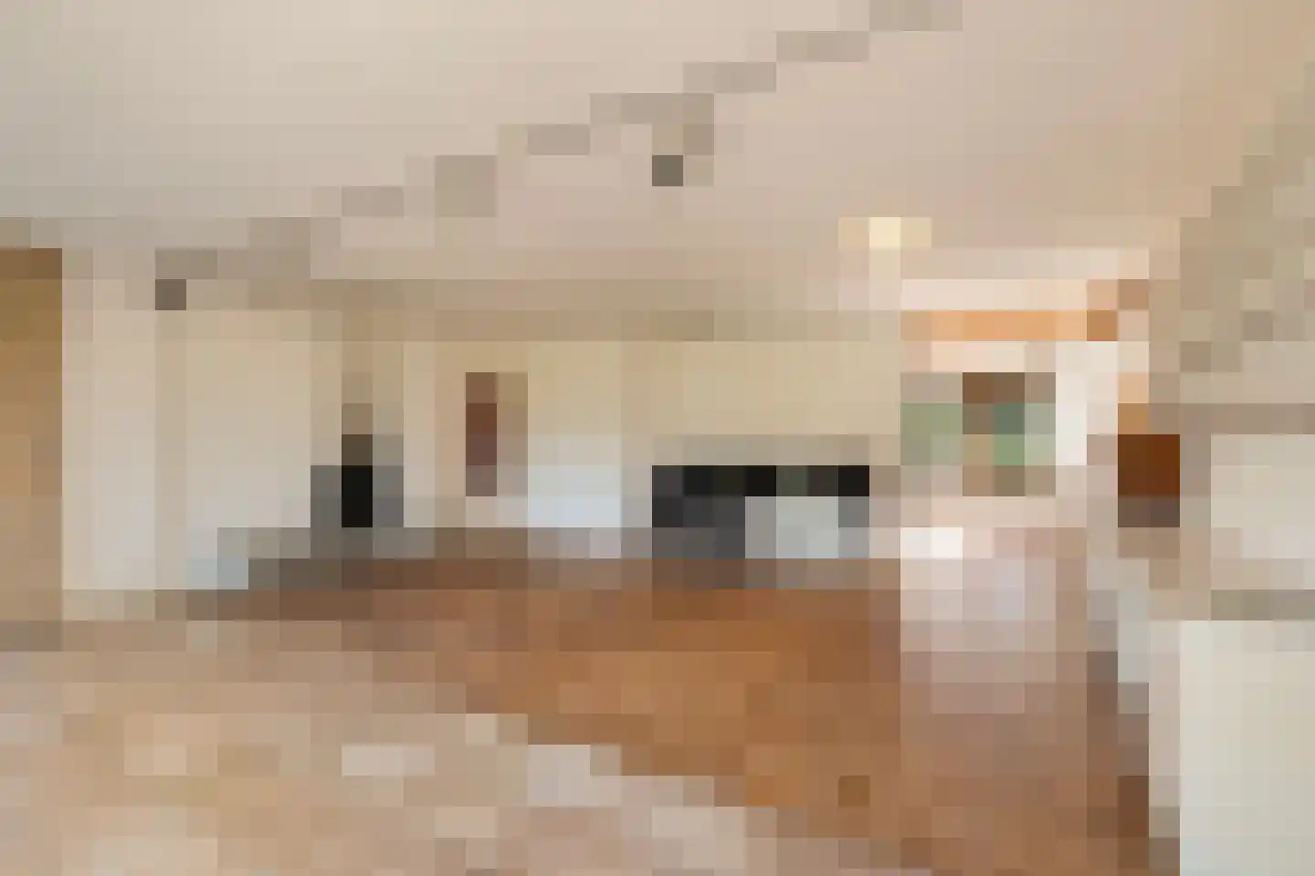 van Hogendorplaan 5 Maasdam thumbnail 15