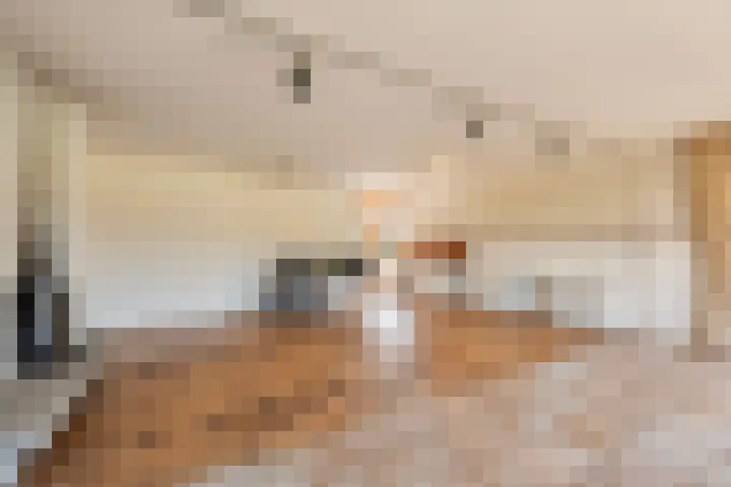 van Hogendorplaan 5 Maasdam thumbnail 16