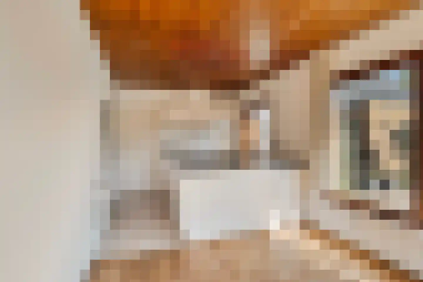 van Hogendorplaan 5 Maasdam thumbnail 19