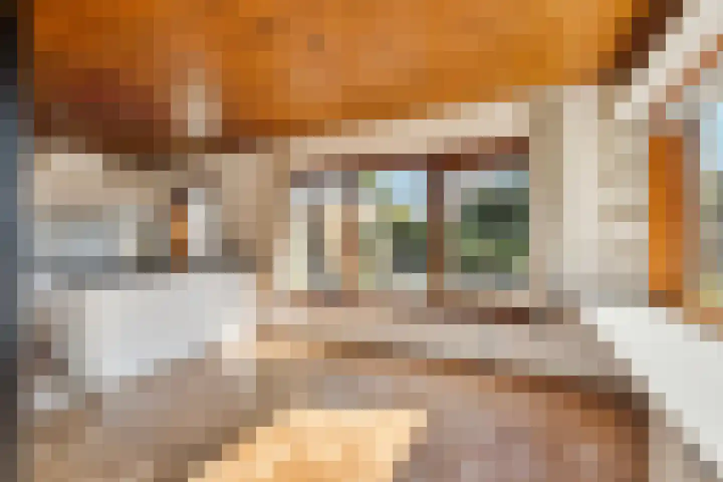 van Hogendorplaan 5 Maasdam thumbnail 20