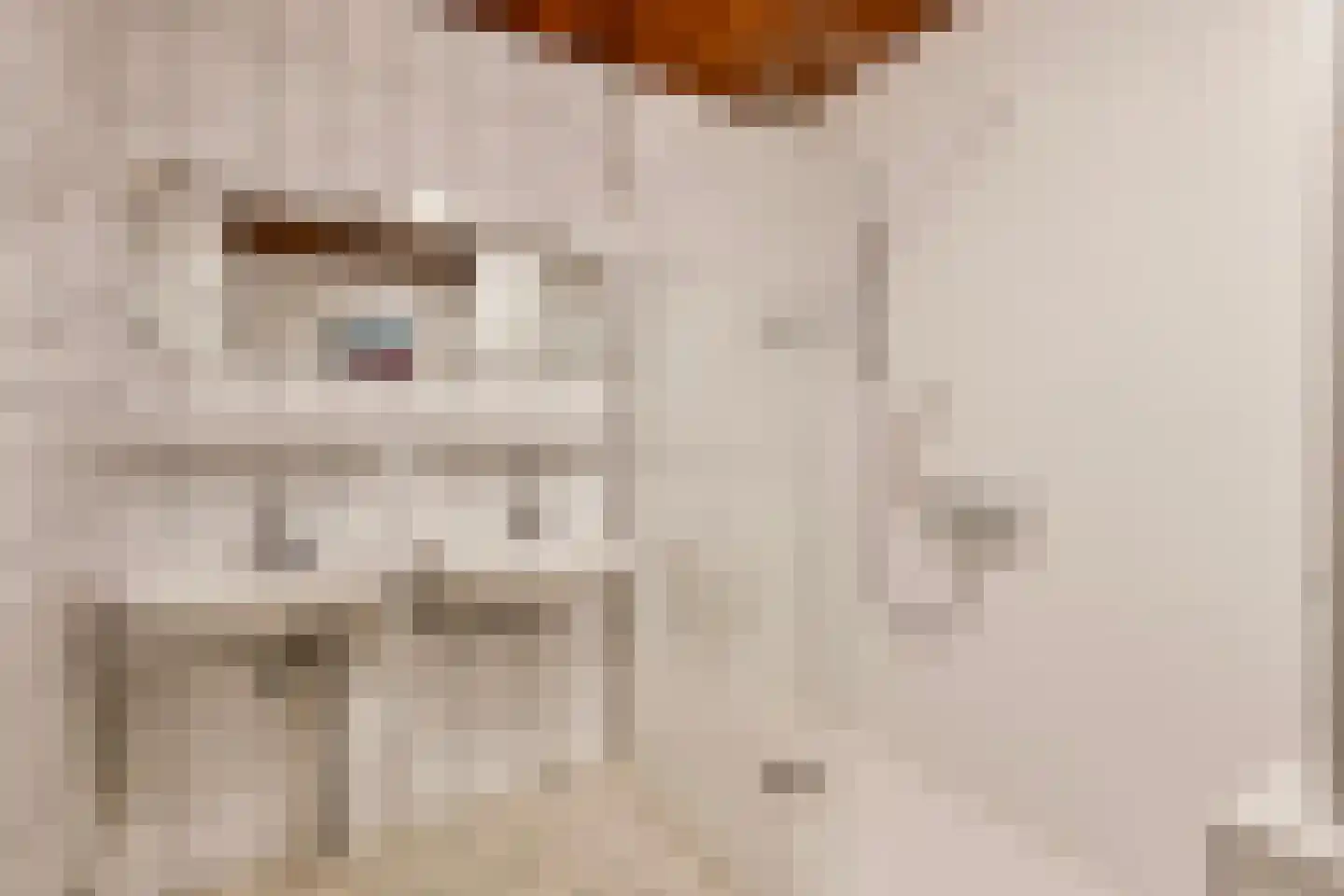 van Hogendorplaan 5 Maasdam thumbnail 26