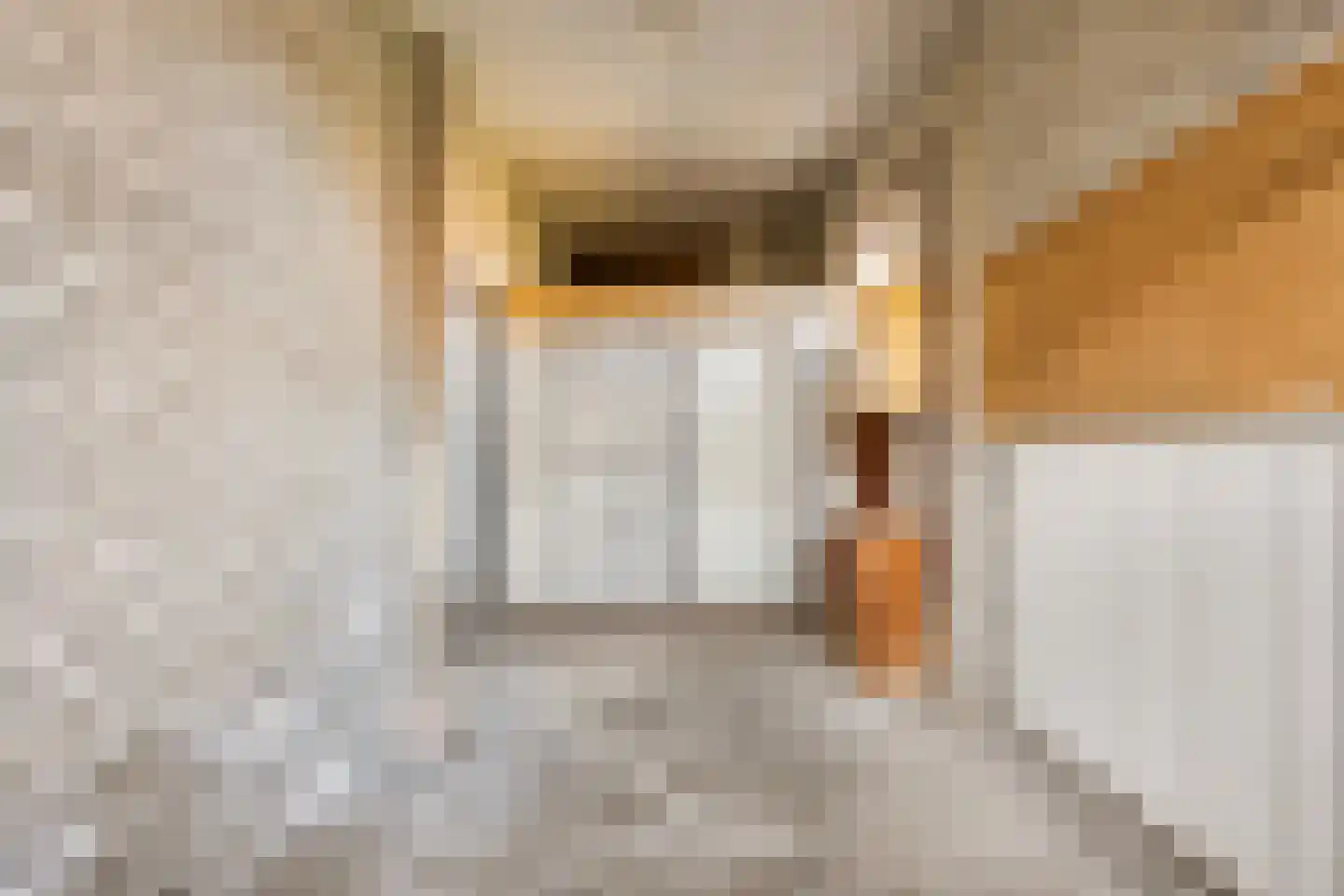 van Hogendorplaan 5 Maasdam thumbnail 35