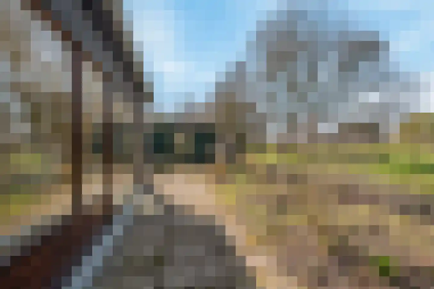 van Hogendorplaan 5 Maasdam thumbnail 39