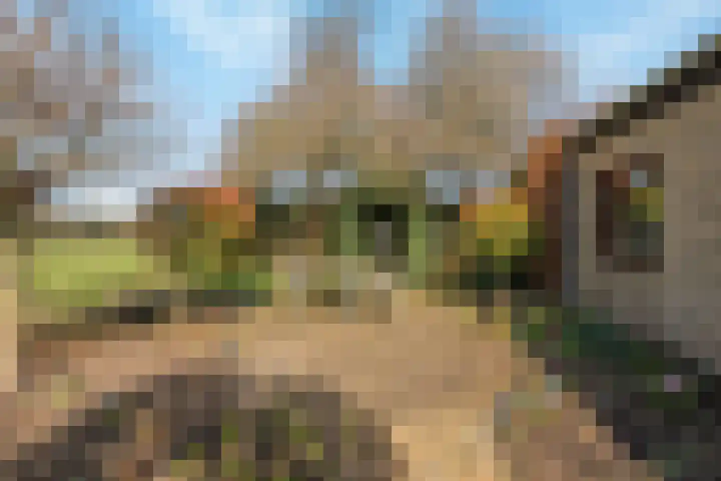 van Hogendorplaan 5 Maasdam thumbnail 41