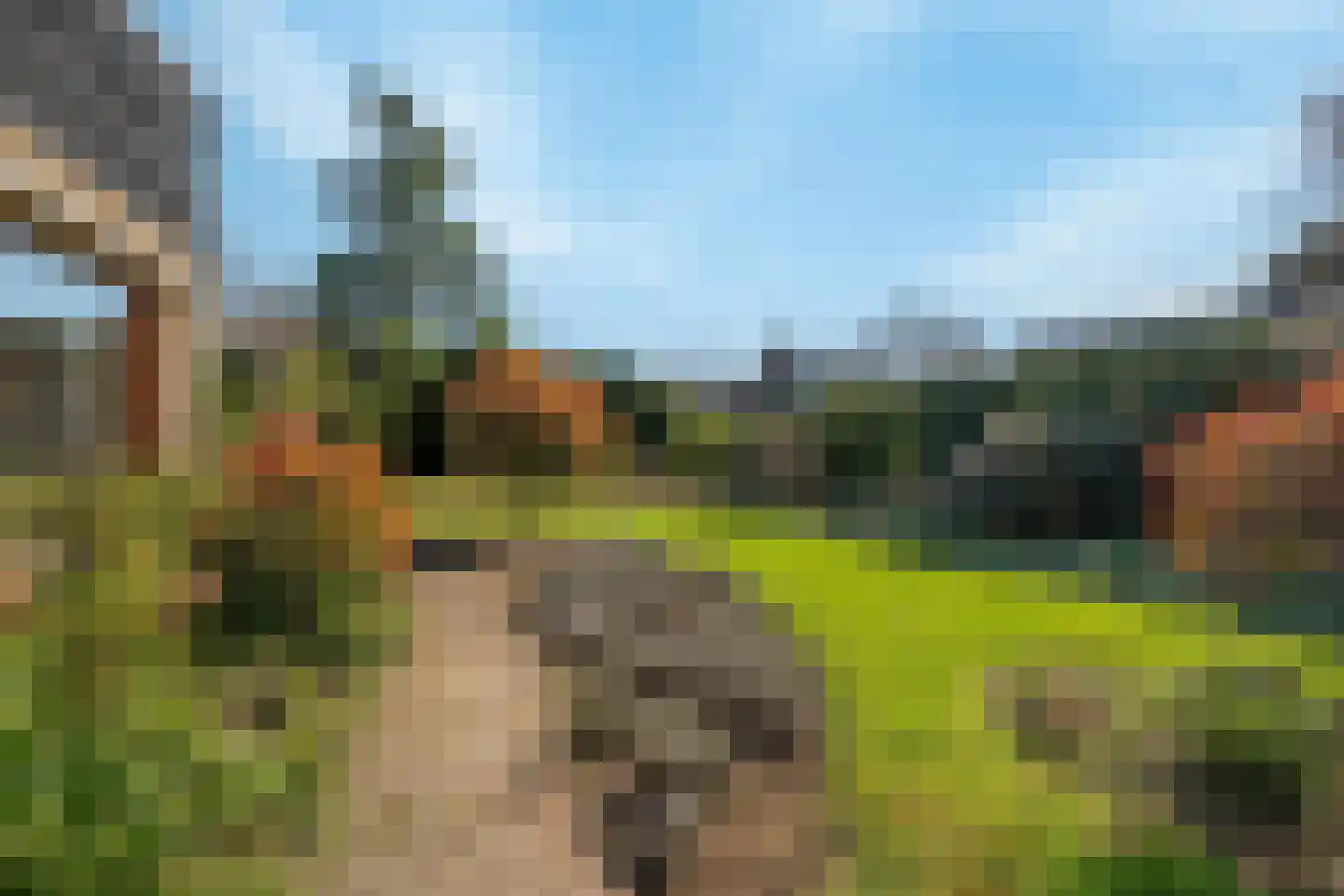 van Hogendorplaan 5 Maasdam thumbnail 44