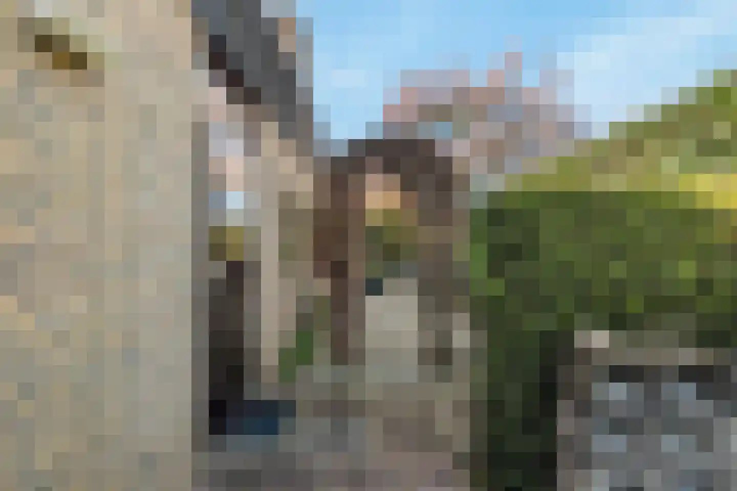 van Hogendorplaan 5 Maasdam thumbnail 46