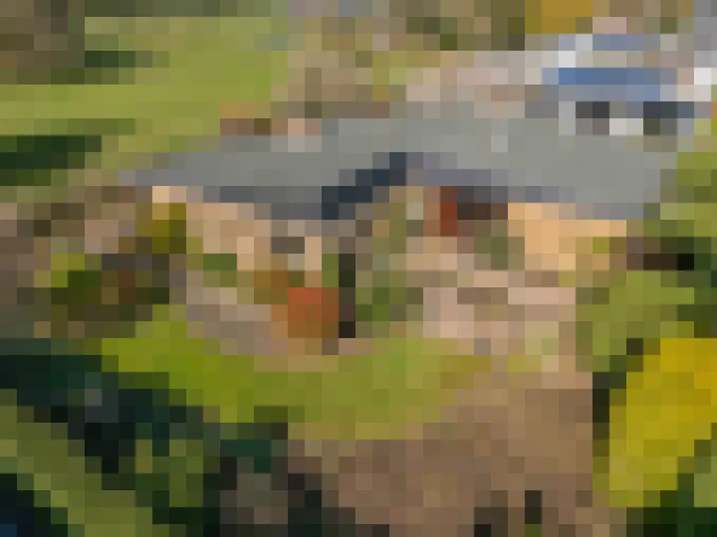 van Hogendorplaan 5 Maasdam thumbnail 48