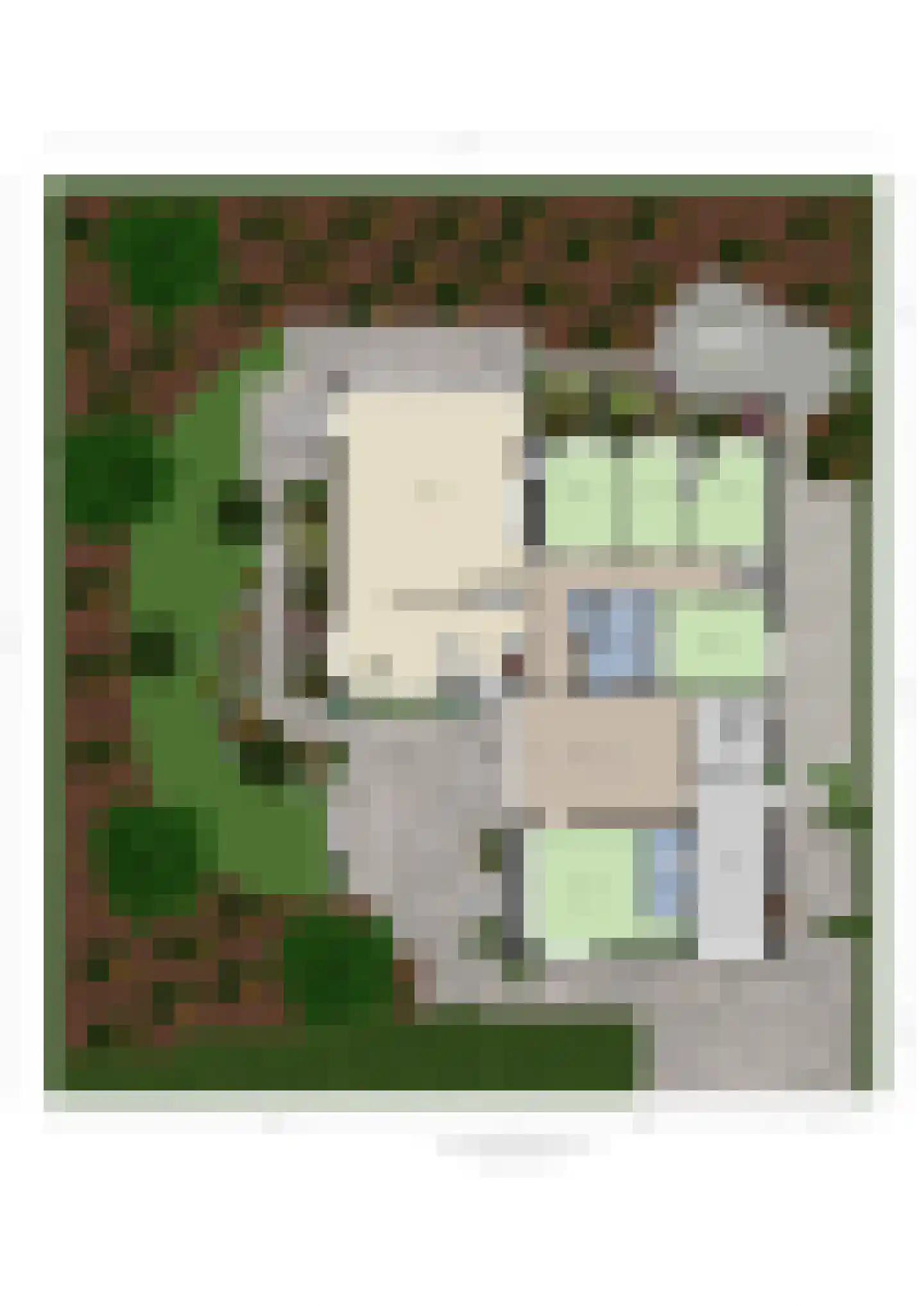 van Hogendorplaan 5 Maasdam thumbnail 53