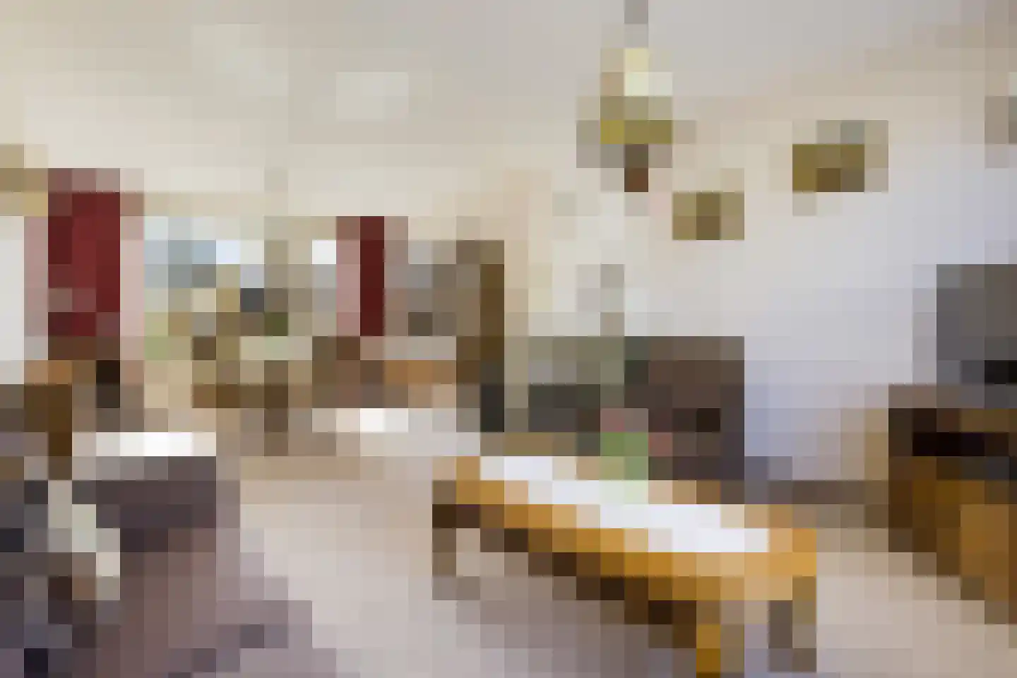 Van Hogendorplaan 5 Woudenberg thumbnail 11