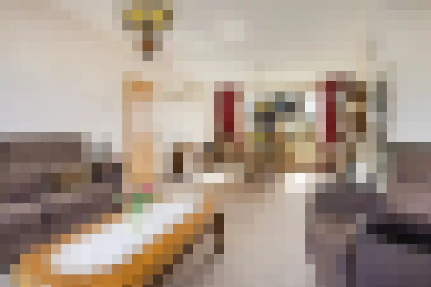 Van Hogendorplaan 5 Woudenberg thumbnail 12
