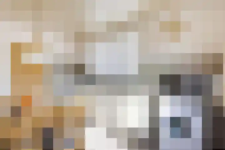 Van Hogendorplaan 5 Woudenberg thumbnail 20